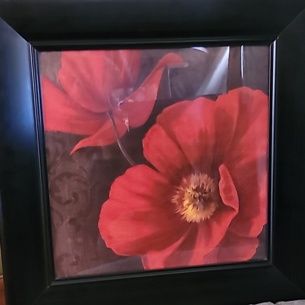 Red flower pcture